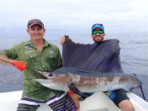 fastest fish in the sea|Fastest Fish in the Ocean: Meet the Speedsters! .